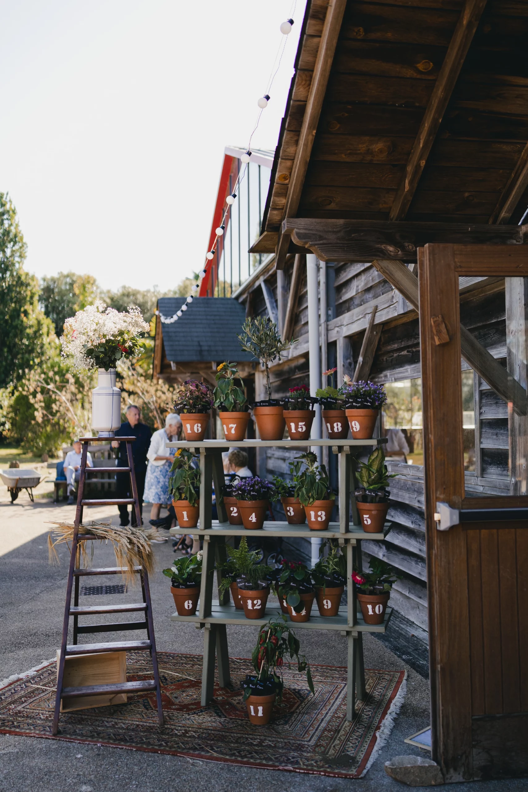 Un plan de table, où des pots de fleurs sont posés sur des étagères à l'extérieur des Serres de Rospico.