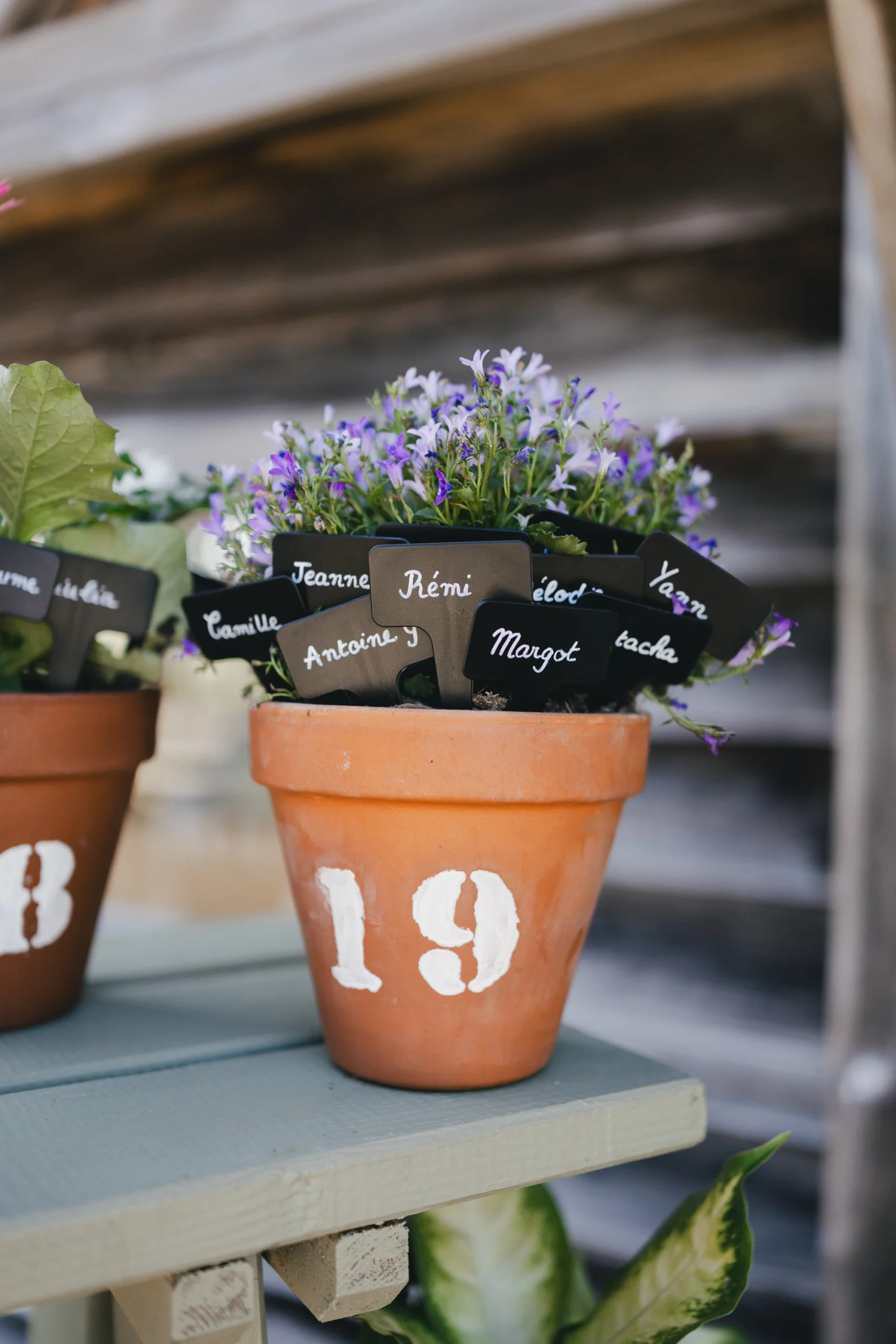 Un pot en terre cuite, où se trouve une plante et des étiquettes avec des prénoms en guise de plan de table.